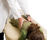 back massage 