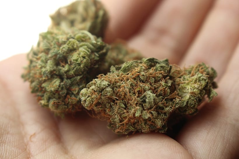 man holding CBD