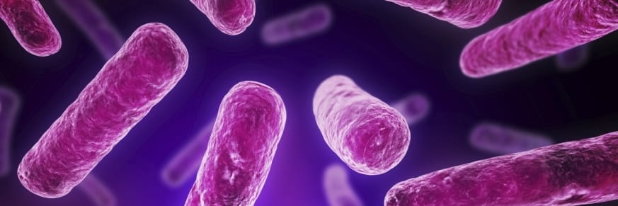 Benefits of Using Probiotic Supplements