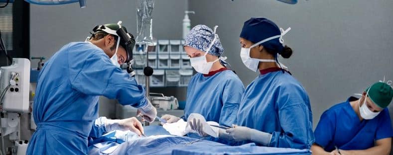 orthopedic traumatologist